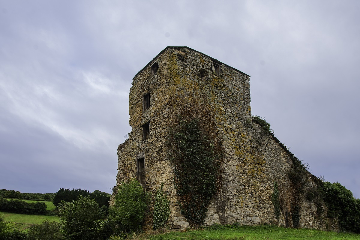Castillo de Burón